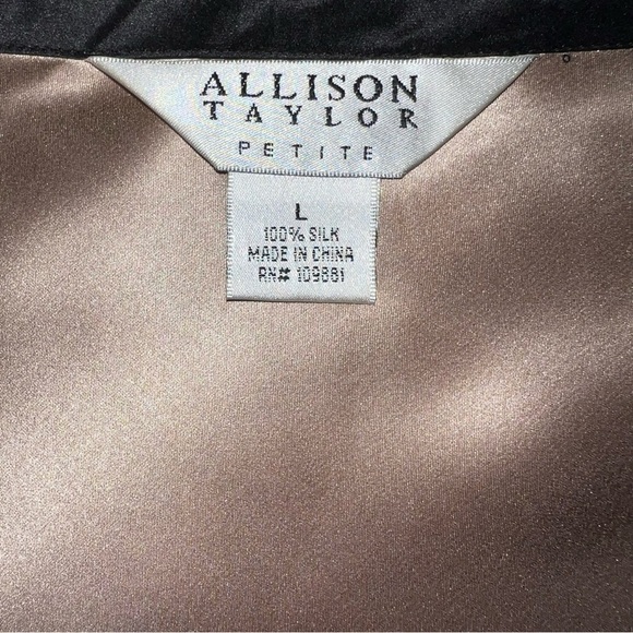 100% silk v neck top size Large P - Picture 2 of 4